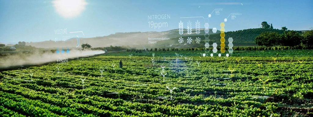 AI in Agriculture