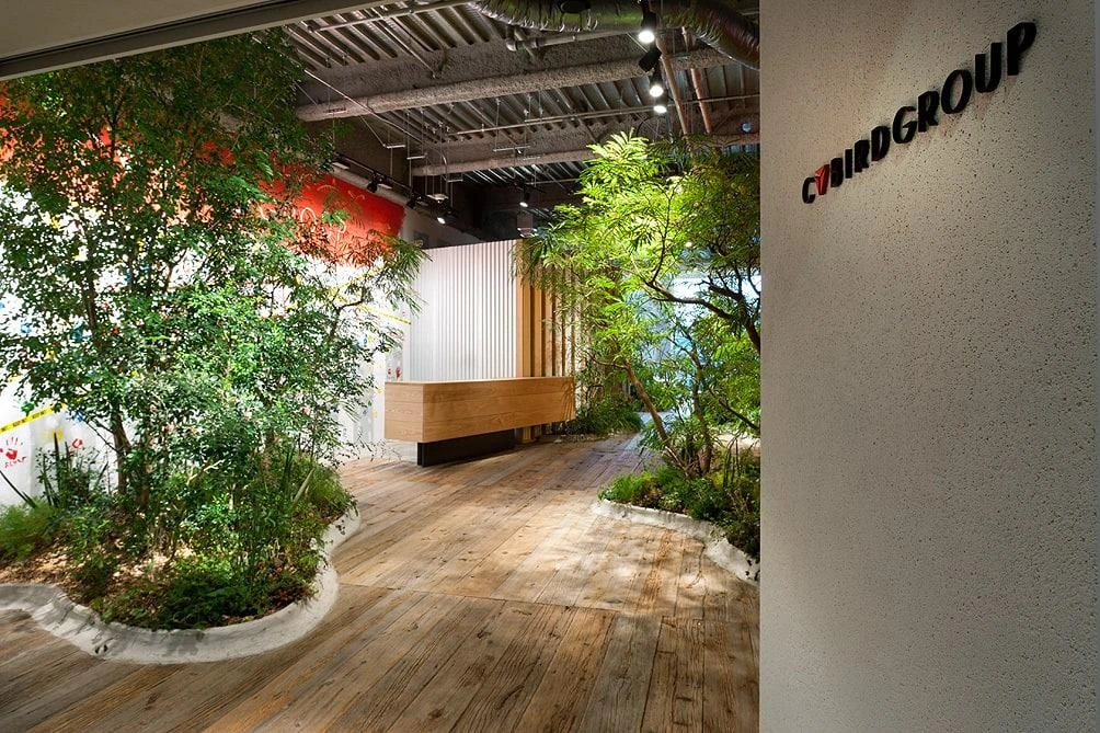 cybird group in Japan